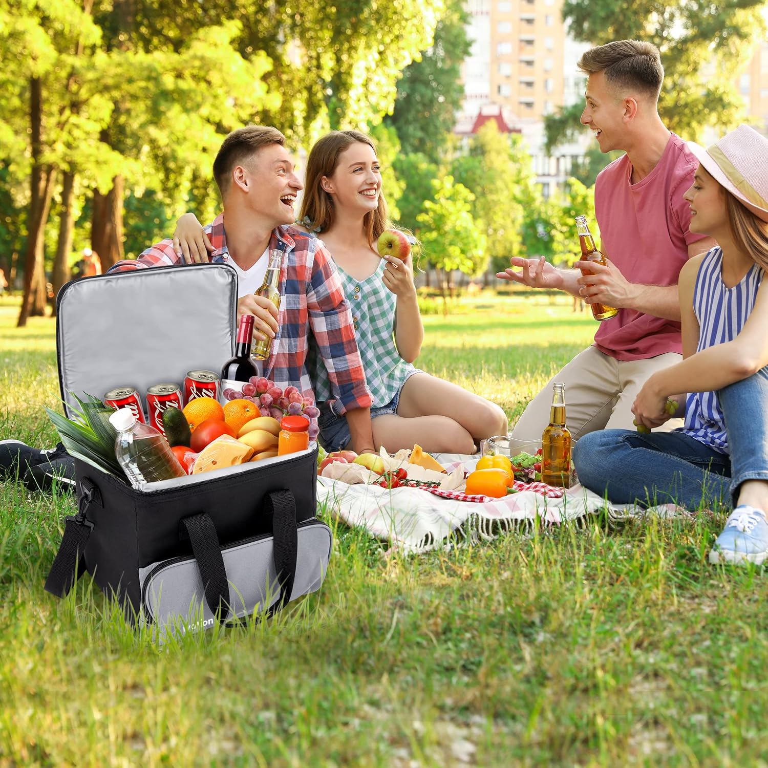 Soft-sided [color] portable electric cooler bag with thermoelectric cooling and 12V car plug — view 5